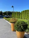 Фото компанії Green Garden