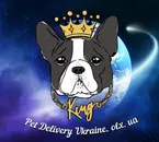 Фото компанії Перевезення тварин за кордон