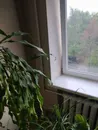 Фото компанії Монтаж систем водопостачання