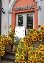 Фото компанії Франик