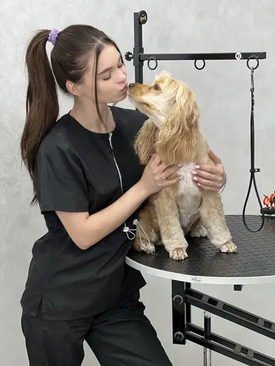Фото компанії Kilua grooming