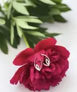 Фото компанії Магазин "Diadema"