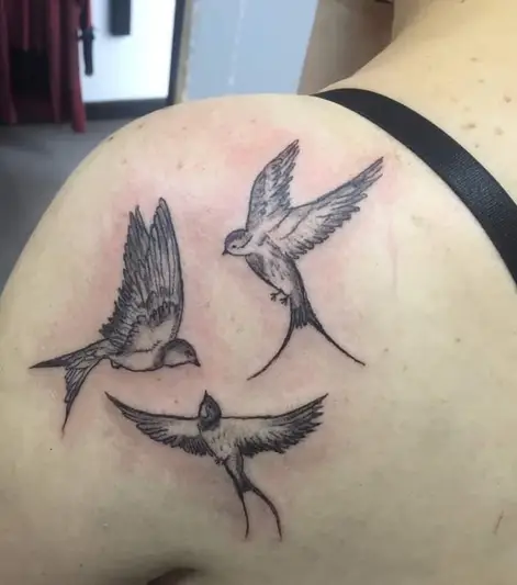 Фото компанії Tatoo