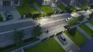 Фото компанії Розсадник декоративних рослин "Galavin"