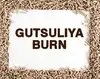 Логотип компанії GUTSULIYA BURN