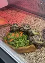 Фото компанії AquaZoo