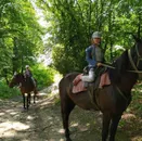 Фото компанії Shenkel