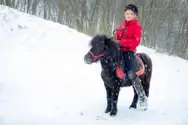 Фото компанії Кінний клуб "Темпо"