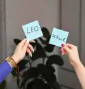 Фото компанії Leo School