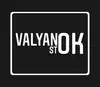 Логотип компанії Valyanok Stok