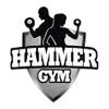 Логотип компанії Спортивний клуб "Hammer Gym"