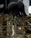 Фото компанії Студія краси Інни Миханчук