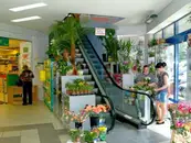 Фото компанії ТРК "Панорама Plaza"