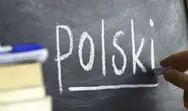 Фото компанії YELIZ.POLISH