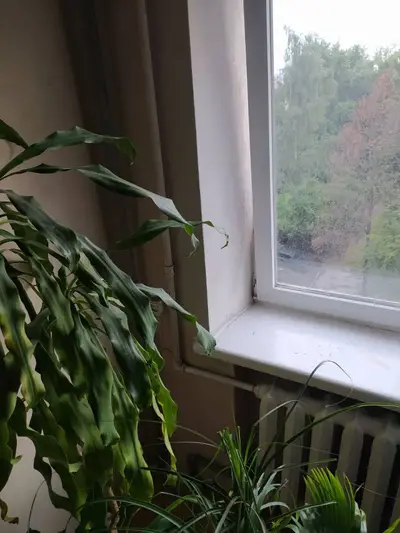 Фото компанії Монтаж систем водопостачання