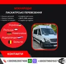 Фото компанії Mihael bus