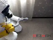 Фото компанії DEZMAN