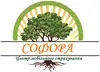 Логотип компанії Центр мобільного страхування "Софора"