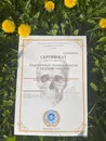 Фото компанії Остеопатія, краніосакральна терапія