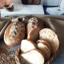 Фото компанії Хлібна хатинка