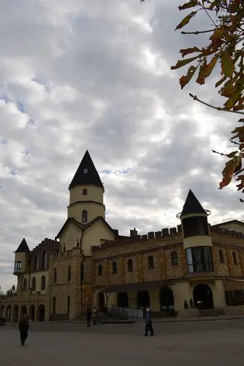 Фото компанії Замок Злати