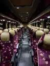 Фото компанії Пасажирські перевезення Україна-Італія