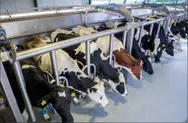 Фото компанії ПП "МІЛКТЕХ"