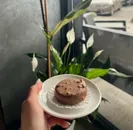 Фото компанії Cafe-Bakery "Croissant"