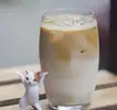 Фото компанії Neko Coffee