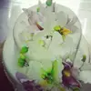 Логотип компанії Червоний МАГ