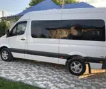 Фото компанії Перевізник Чернівці-Сучава-Яси