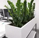 Фото компанії NATURIUM