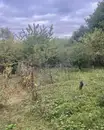 Фото компанії Агентство нерухомості "Тетяна"