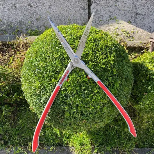 Фото компанії Green Guys
