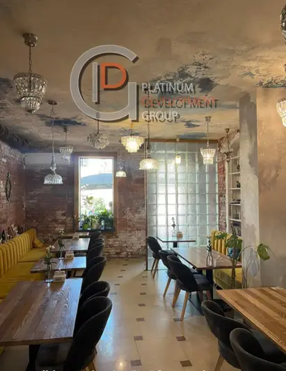 Фото компанії Platinum Development Group