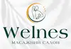 Логотип компанії Welnes
