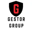 Фото компанії Gestor group