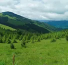 Фото компанії Podorij.mriy.karpaty