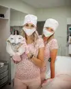 Фото компанії Курси косметології від Інституту естетичної косметології " +