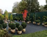 Фото компанії Зелена оселя