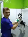 Фото компанії Ветеринарна клініка "Імпульс"