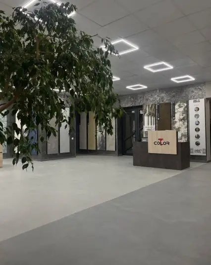 Фото компанії TColor&San Marco