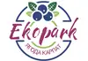 Логотип компанії ФГ "Ягода Карпат"