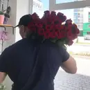 Фото компанії Brunka