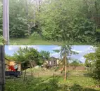 Фото компанії Clean garden