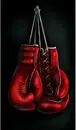 Фото компанії Ozarinskiy & Deriabin Boxing Team