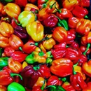 Фото компанії African shop "AFROFOODS"