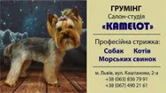 Фото компанії Грумінг салон студія "Kamelot"