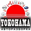 Логотип компанії Авторозборка "Йокогама"