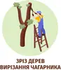 Логотип компанії Зріз дерев, вирізання чагарника